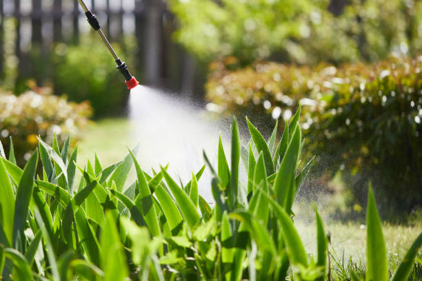 Tamper-Resistant Bait Stations for Rodents in Applewood