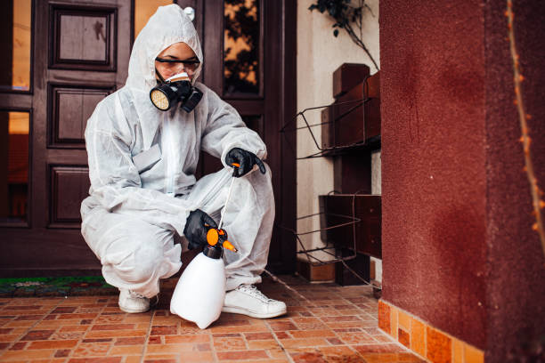 Attic and Crawl Space Rodent Treatment in Applewood